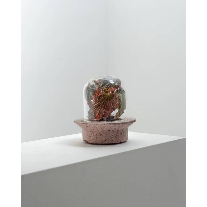 Pietra grigia Fioriera per terrario UFO in vendita all'ingrosso su Faire6