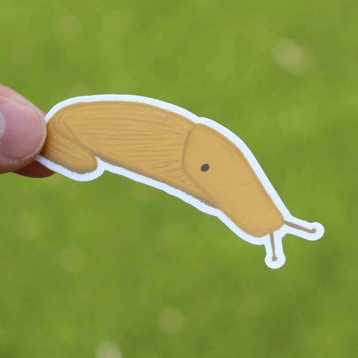 Banana Slug Sticker for wholesale by Pau Hana Designs