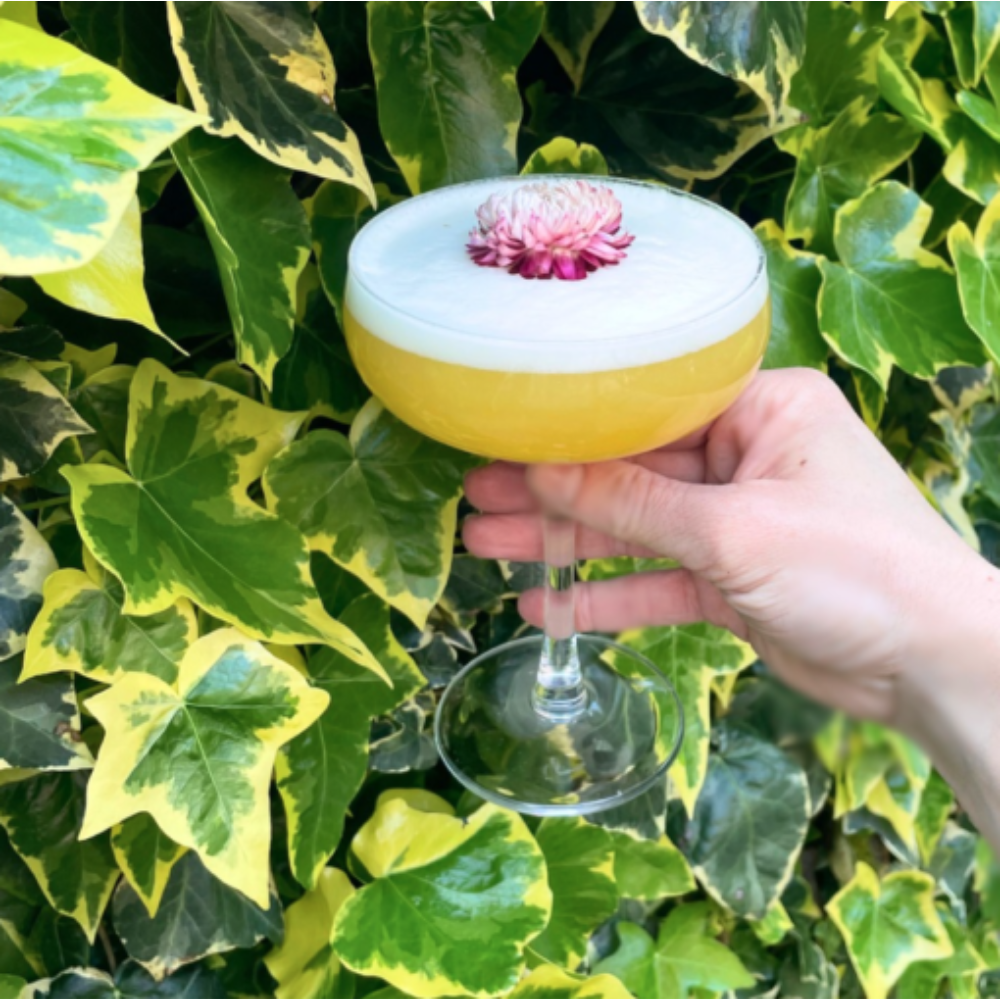 Drink Botanicals Ireland - Wholesale Dried/Pressed Flowers - Dried Edible Mixed Flowers6