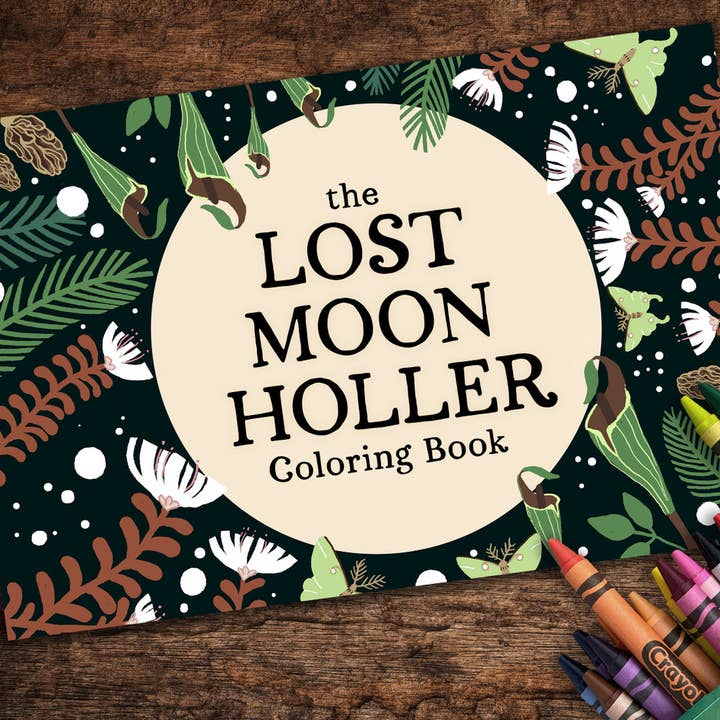 Lost Moon Holler Coloring Book for wholesale by Echo-Lit