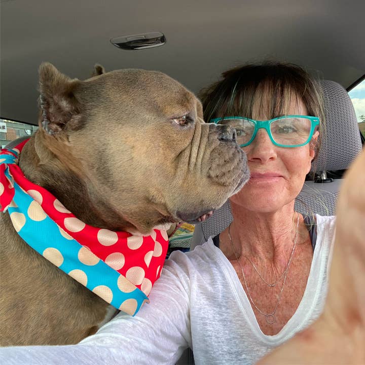 Walk-e-Woo - Vendita all'ingrosso Bandana - Cani - Bandana sportiva - Marino/Rosso/Turq Dots2