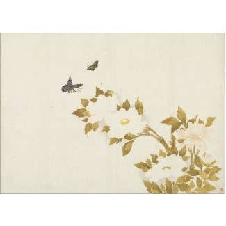 Pæonier og Sommerfugle (ca. 1810-1) for engroshandel hos Retrospect Greeting Cards