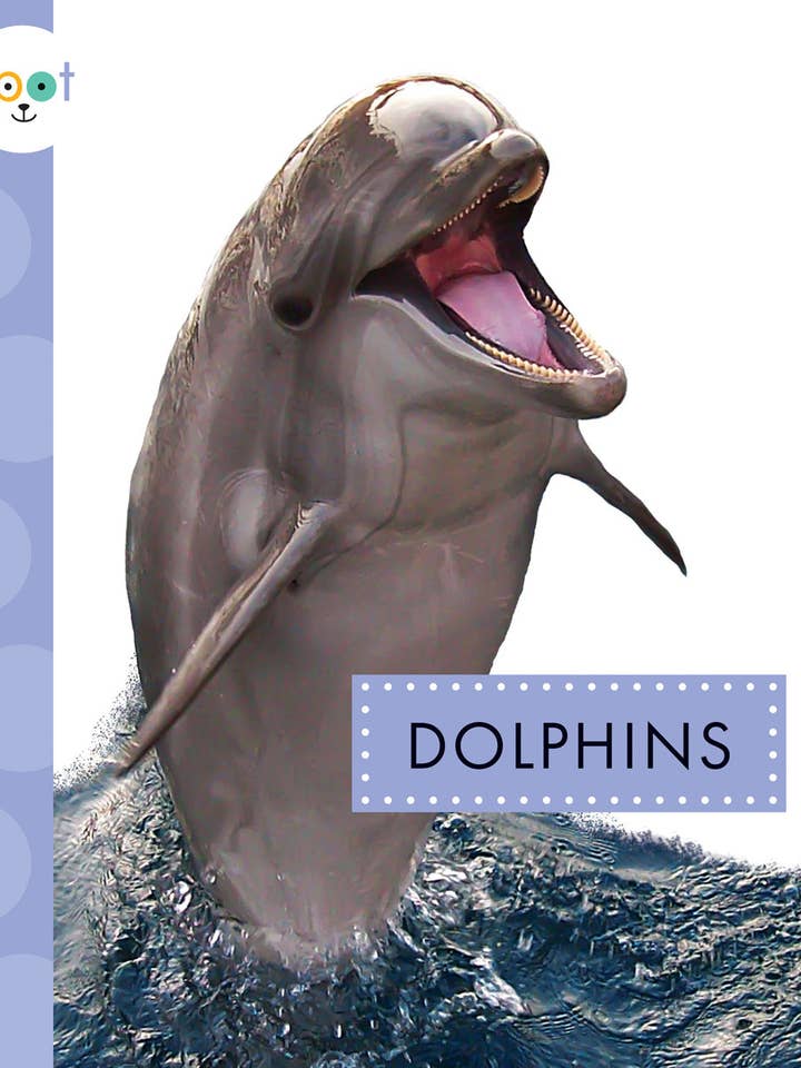 Dolphins for wholesale by Amicus Publishing