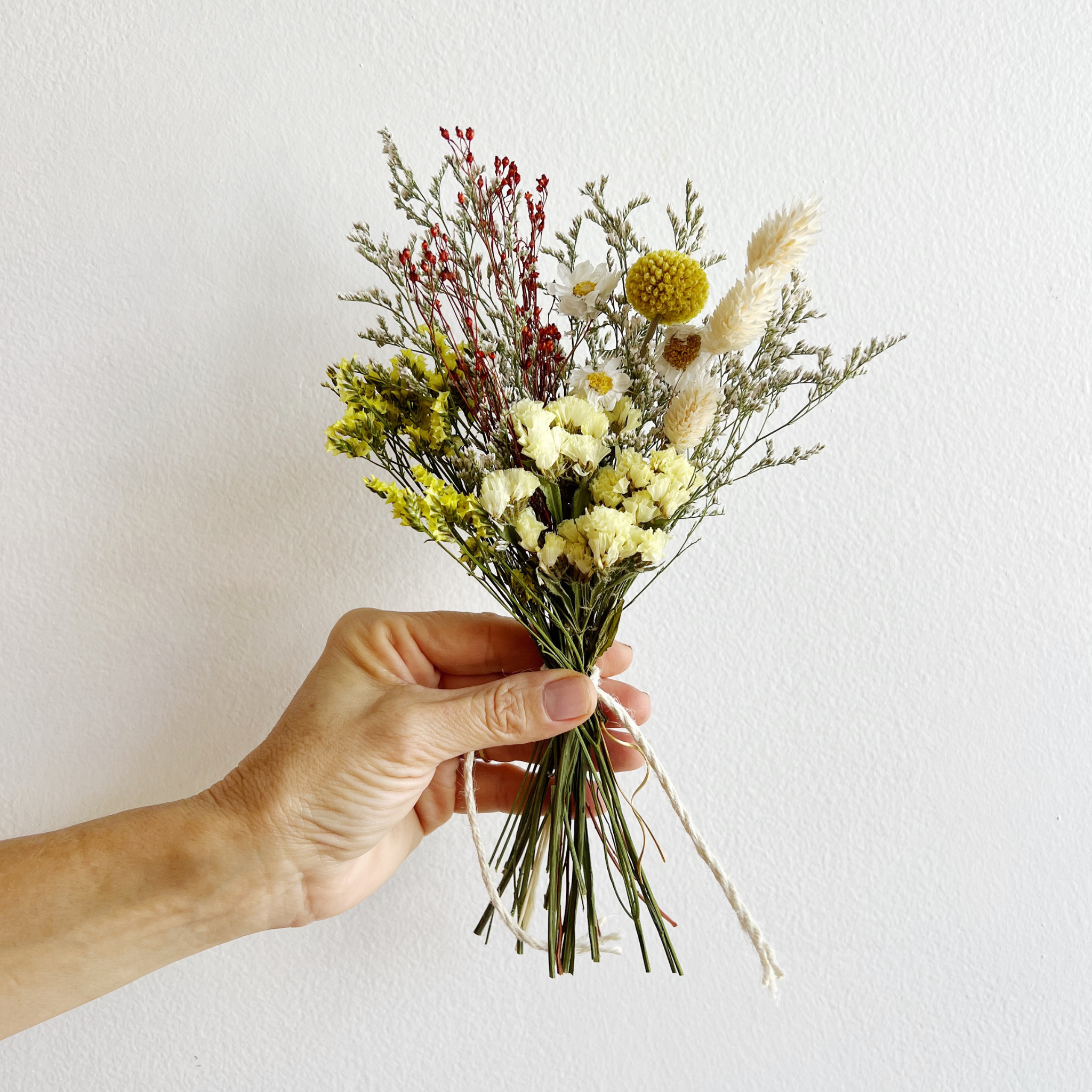 House of Lilac - Wholesale Dried/Pressed Flowers - Classic & Chic Dried Flower Bundles1
