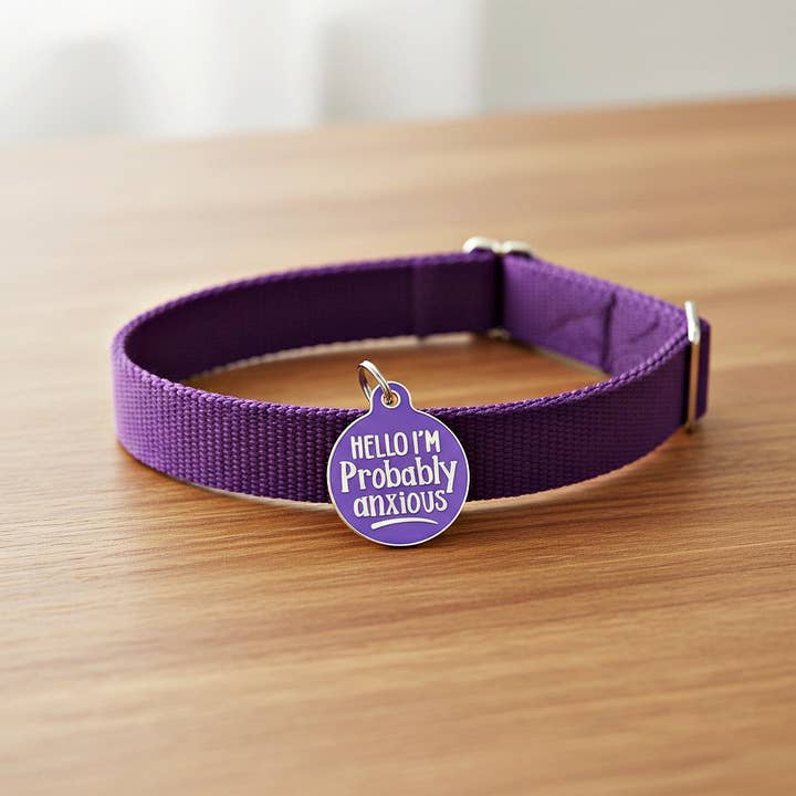 Bad Tags - Wholesale Pet Identification Tag - Dog - Enamel Dog Tag w/ Scannable ID - Hello I'm Probably Anxious7