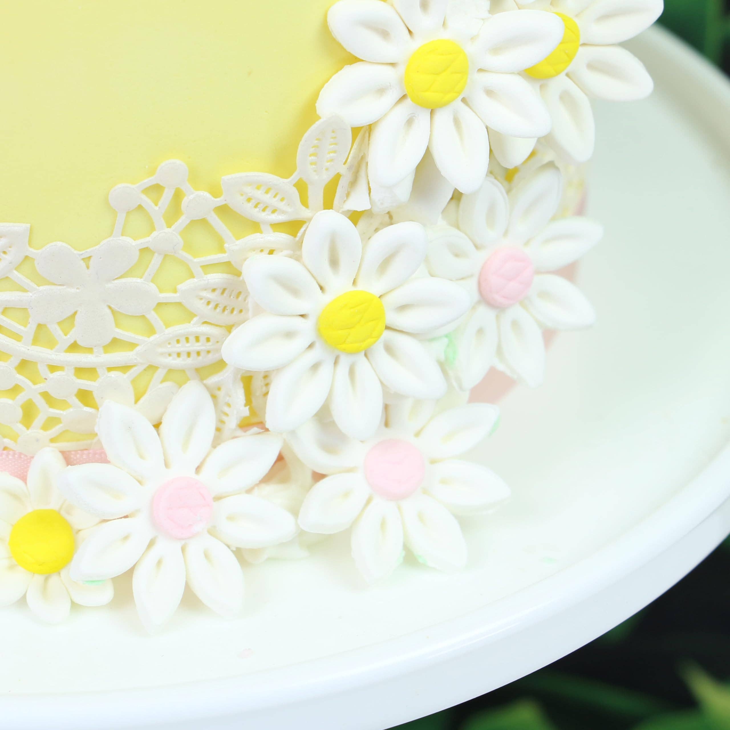 Global Sugar Art - Wholesale Cake/cupcake topper - Edible Daisy Cake Decorations, White and Pink Sugar Flowers, Unwired 1 Inch, Daisy Cupcake Toppers, Edible Flowers Cake Decorations by Chef Alan Tetreault, Global Sugar Art7