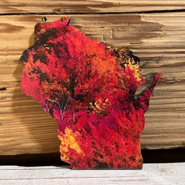 Wisconsin Fall Colors Magnet | Northwoods Fall Colors Trees for wholesale by The Farmer's Wife