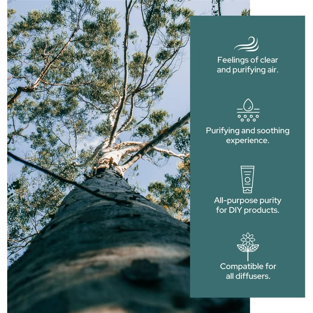 Plant of Life - Wholesale Essential Oil - Eucalyptus Essential Oil | Therapeutic Grade | Multi Sizes1