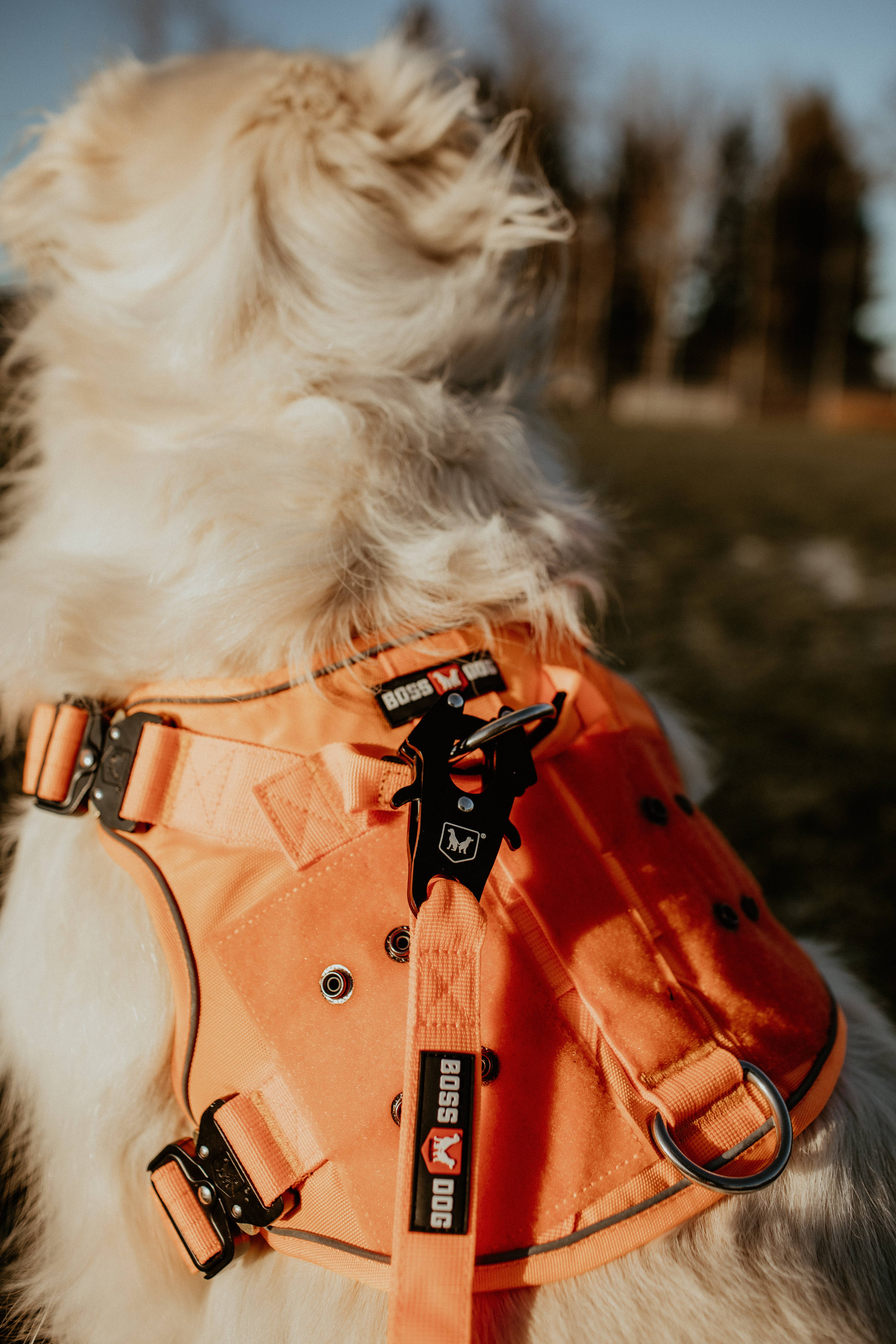 BOSS DOG BRAND, INC. - Wholesale Pet Harness - Dog - Boss Dog Harness57