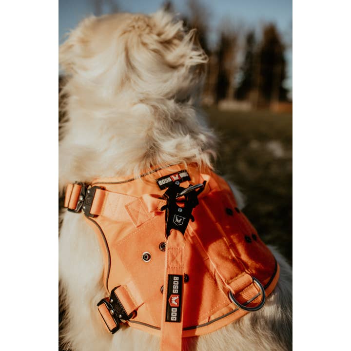 BOSS DOG BRAND, INC. - Wholesale Pet Harness - Dog - Boss Dog Harness57