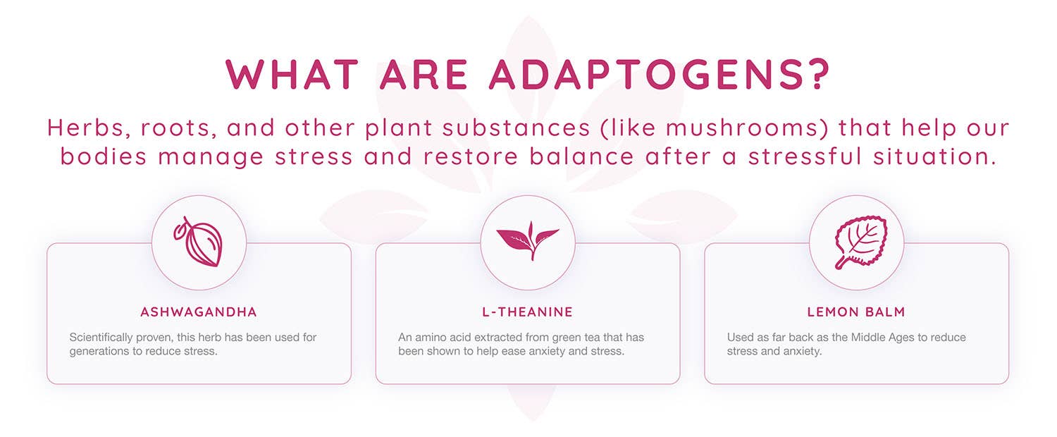 Zenjoy – Engroshandel Alkoholfri aperitif – Zenjoy - Passionsfrugt Grøn Te, Stressaflastningsdrik4