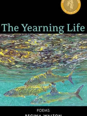 The Yearning Life for wholesale by Paraclete Press