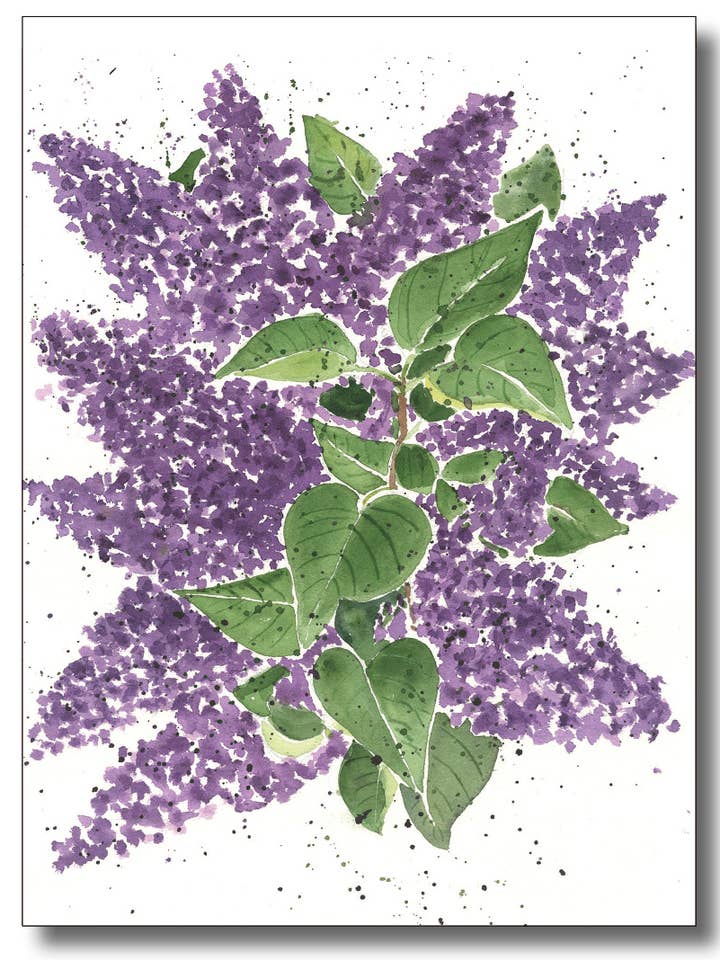 Violette Flieder II für den Großhandel von WORDS & WATERCOLORS BY PEG CONLEY