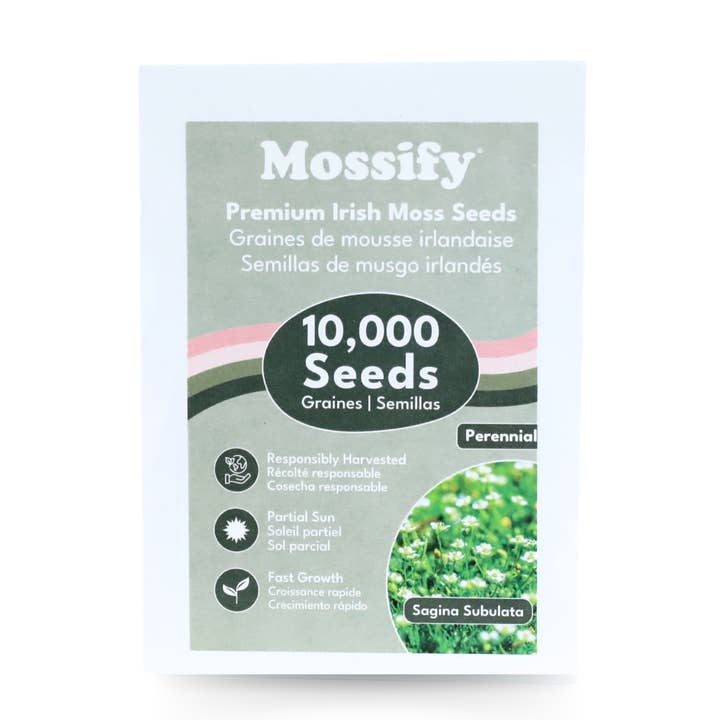 Mossify - Wholesale Plant Seeds - Premium Fast Growing Irish Moss Seed - Sagina Subulata Seeds