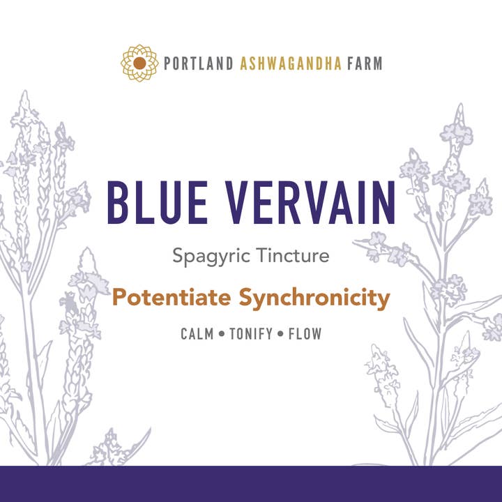 Portland Ashwagandha Farm – wholesale Tincture – Blue Vervain - Fresh Spagyric Tincture1
