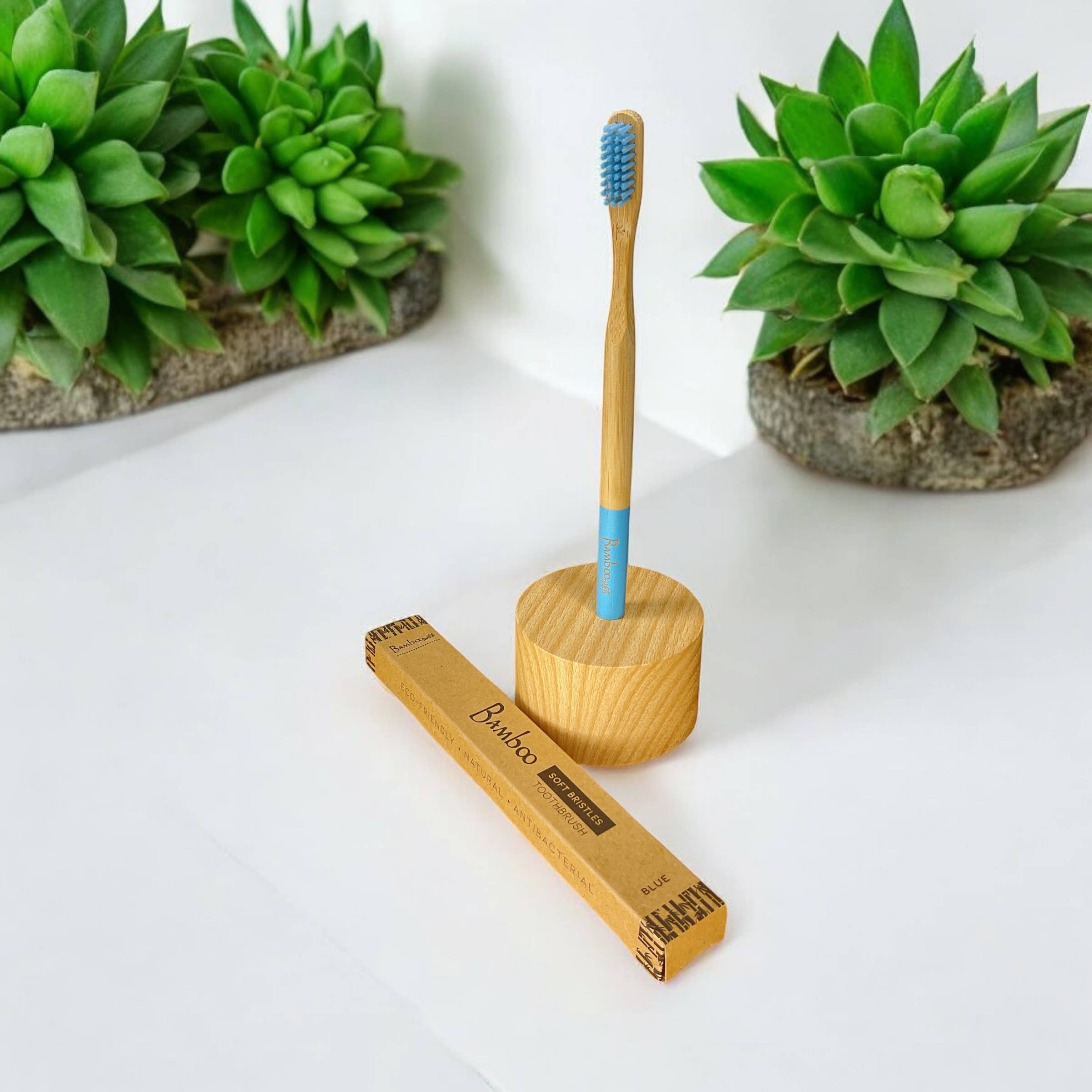 Bamboo Switch – Großhandel Zahnbürste – Erwachsenen-Bambuszahnbürste | Weihnachtsbestseller8