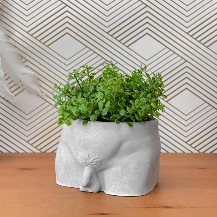AURA 8 Art Boutique - Wholesale Plant Pot - Butt Planter, Men Body Planter Pot, Male Greek Sculpture
