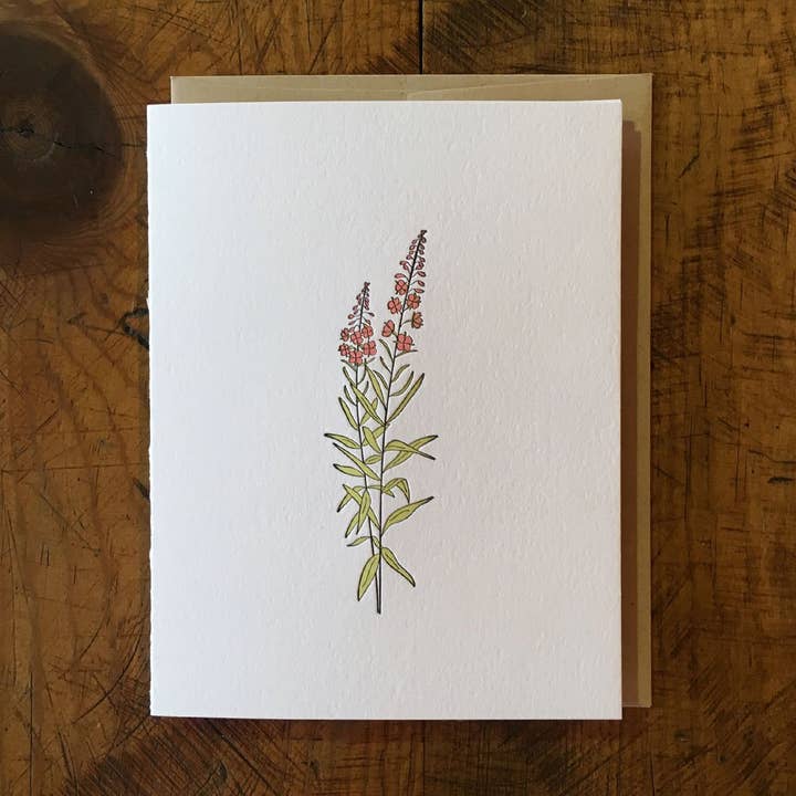 Fireweed Wildflower Letterpress Card for wholesale by Green Bird Press