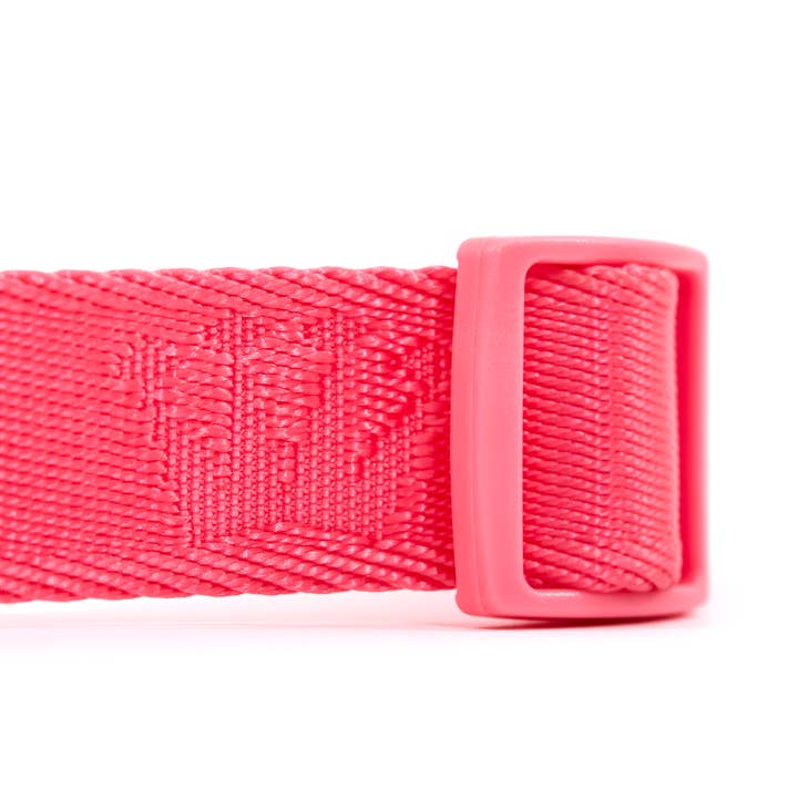 ARISTOPET - Wholesale Pet Collar - Dog - SIGNATURE COLLAR2