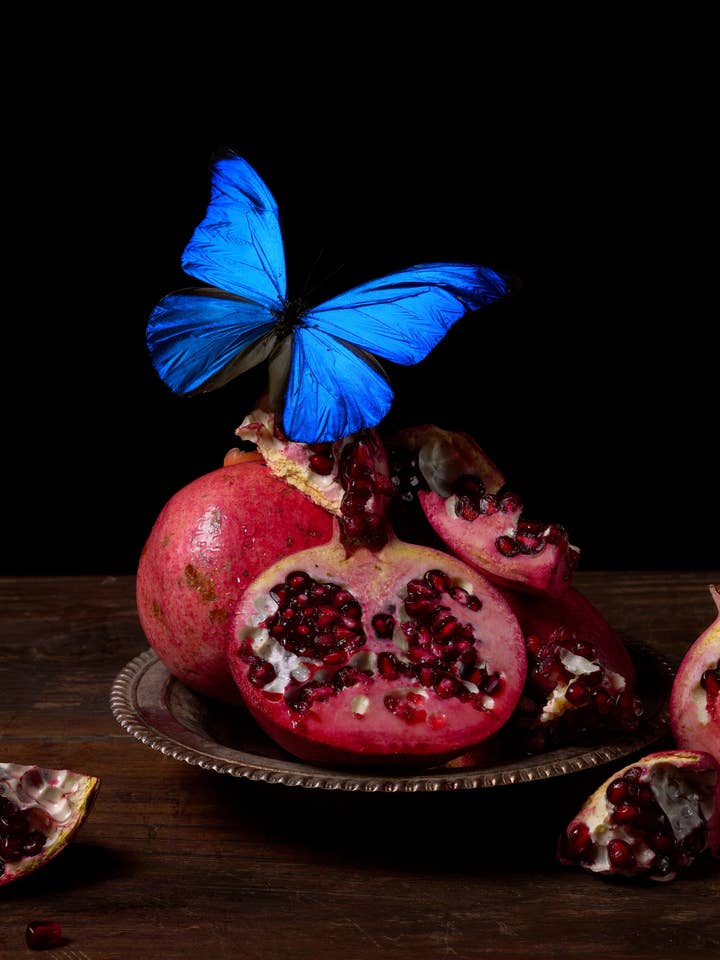 'Visitare' - Impressão de Belas Artes por atacado de Veneration of Light