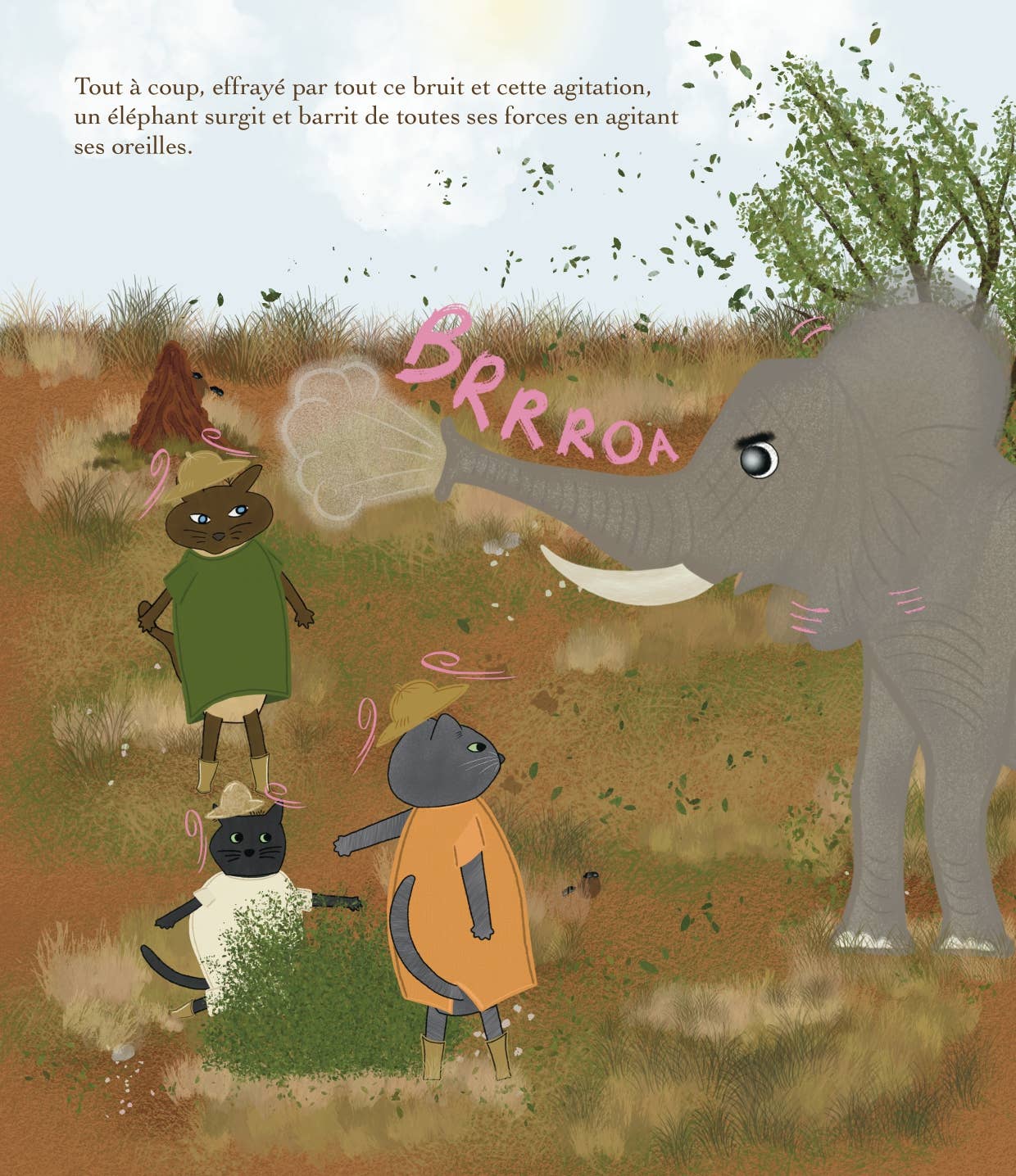 Cibou - Vente Preschool Book (3-5) - Cibou découvre les animaux sauvages5