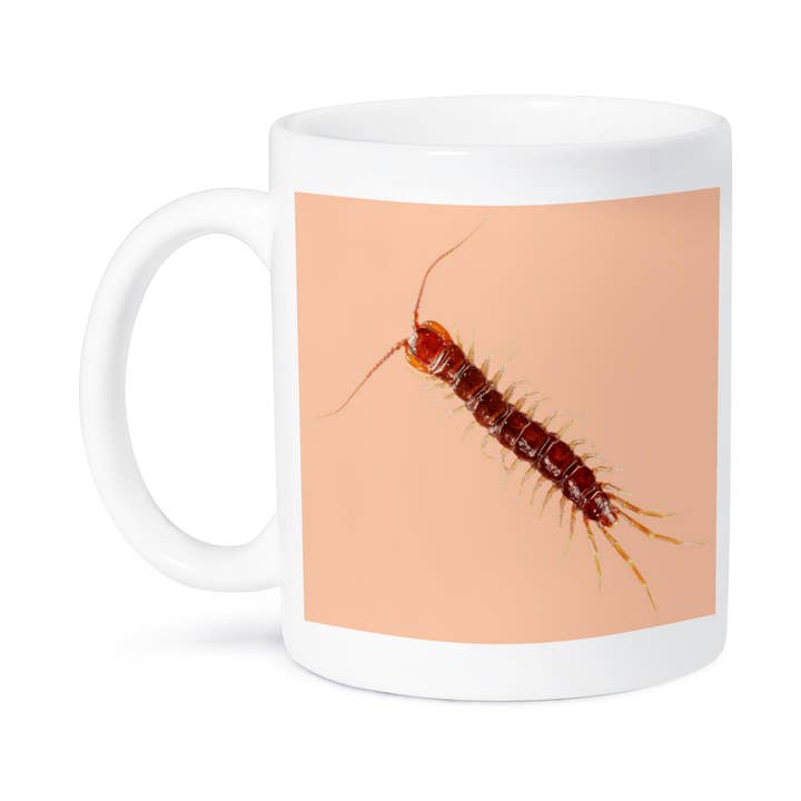 3dRose – wholesale Kaffekoppar – 3dRose, Tusenfoting, bild av en tusenfoting på en orange bakgrund, Mugg8