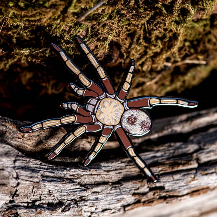 Arizona Blonde Tarantula Enamel Pin for wholesale by The Roving House