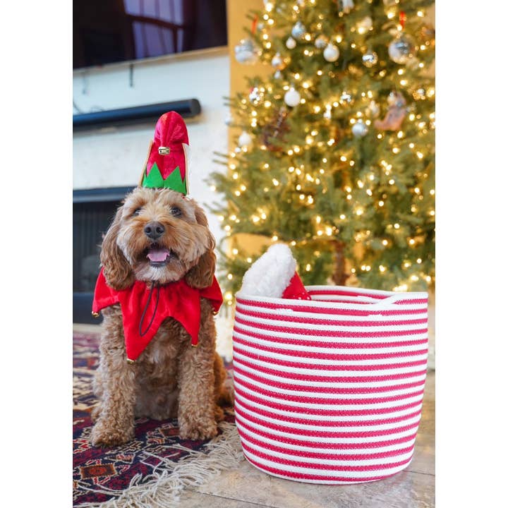 Midlee Designs – wholesale Pet costume – Dog – Midlee Elf Dog Hat with Bell Neck Band Dog Costume