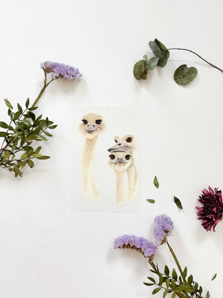 Immagine da stiro struzzo uccello pellicola transfer per stirare per la vendita all'ingrosso da parte di MiniDei