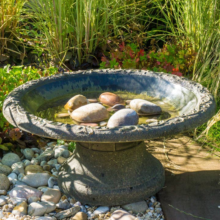 Wildlife World - Wholesale Bird Bath - Coniston Bird Bath (Pebbles not included)