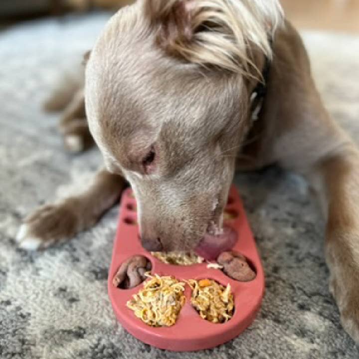 Freezbone - Wholesale Pet chew toy – Dog - FreezPaw Mat4