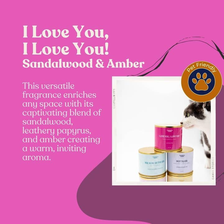 Companion Candles - Wholesale Travel Candles - Sandalwood & Amber Coconut-Soy Scented Candle (Pet-Safe)