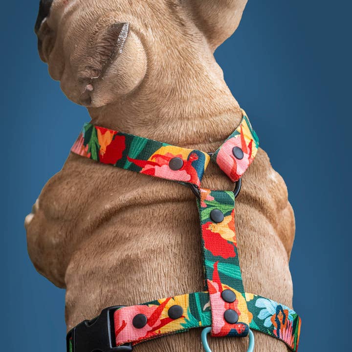 Mind the Fluff – wholesale Pet harness – Dog – Loud and Proud DOG HARNESS