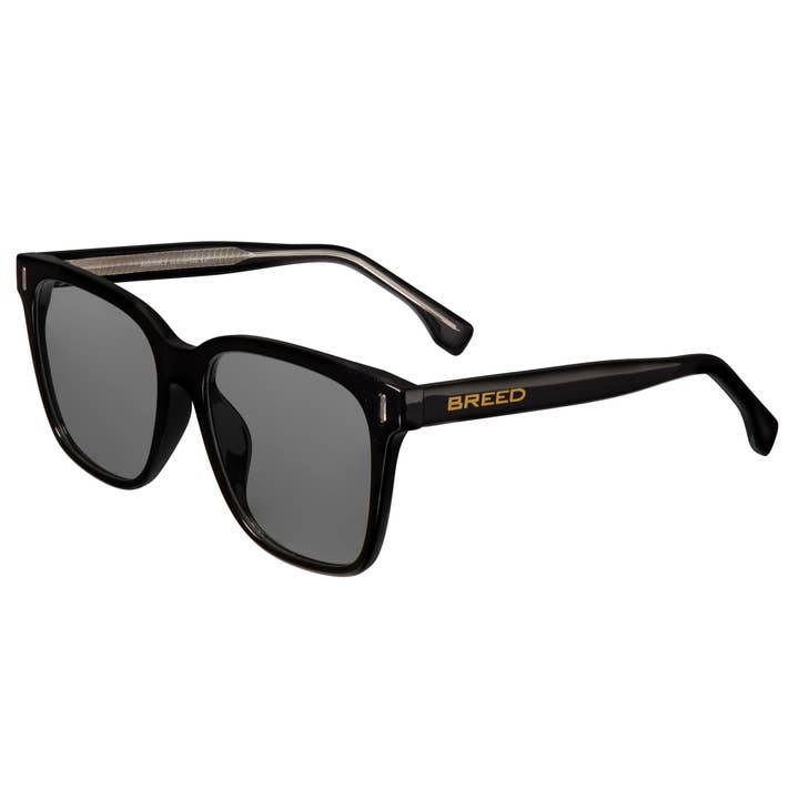 Breed - Venta al por mayor Gafas de sol - Unisex - Gafas de sol Wayfarer polarizadas Breed Linux TR903