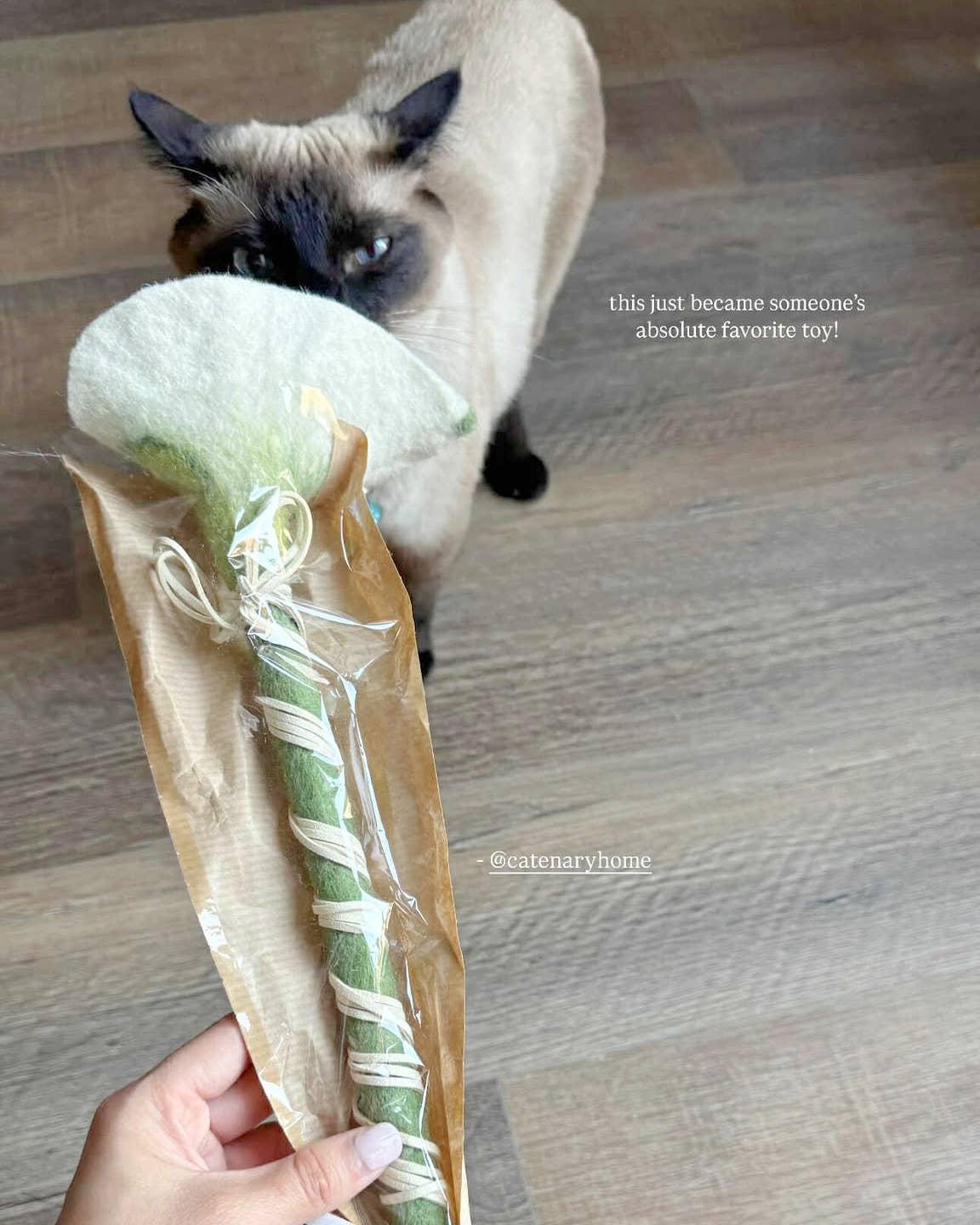 Catenary Home - Wholesale Speeltje - Kat - Flora Kat Speelstok Speeltje6