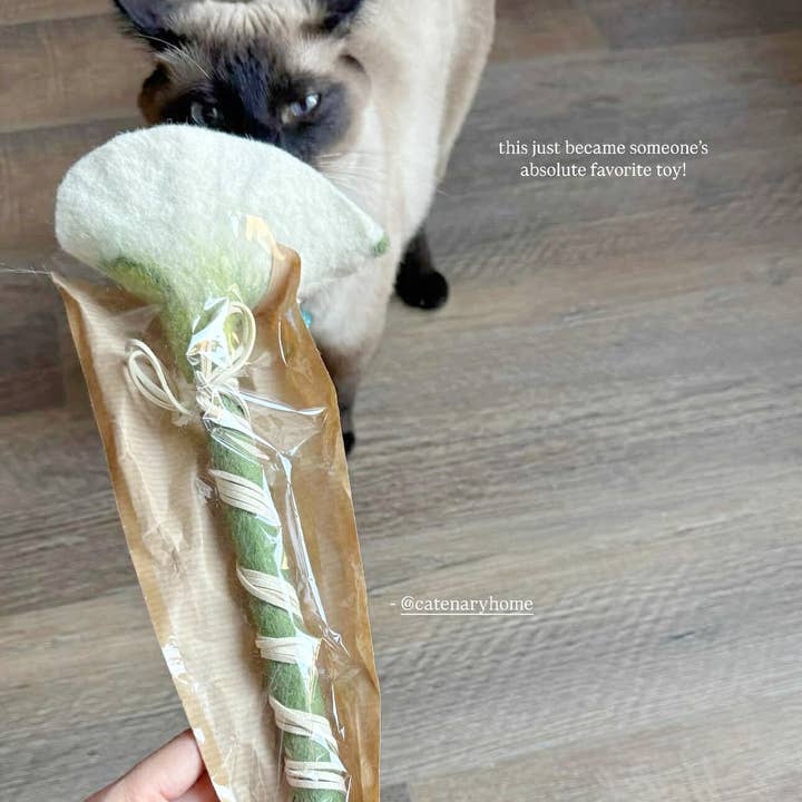 Catenary Home - Wholesale Speeltje - Kat - Flora Kat Speelstok Speeltje6