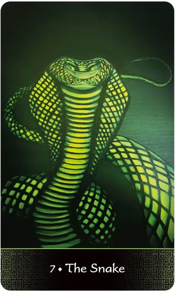 U.S. Games Systems Inc. - Vente Cartes de tarot - Déesse Afro Oracle Lenormand3