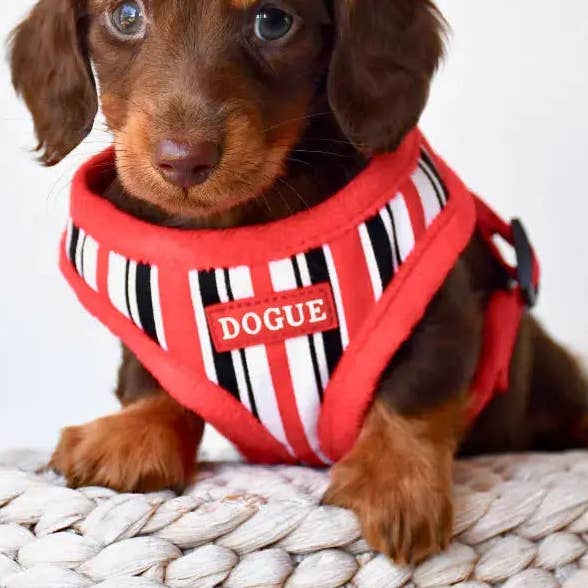 DOGUE Stripe Dog Harness for wholesale by DOGUE