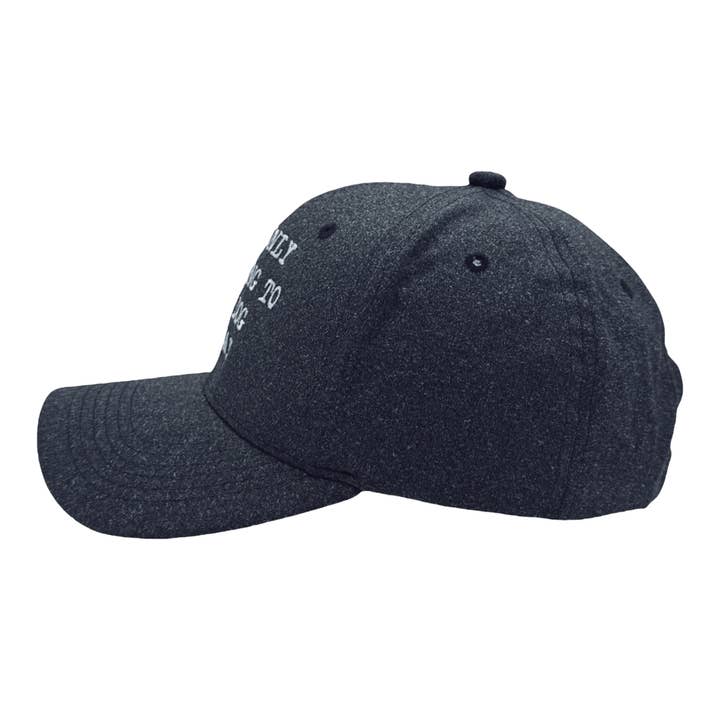 Crazy Dog T-Shirts - Wholesale Baseball Cap - Unisex - Im Only Talking To My Dog Today Hat Funny Dog Lovers Cap