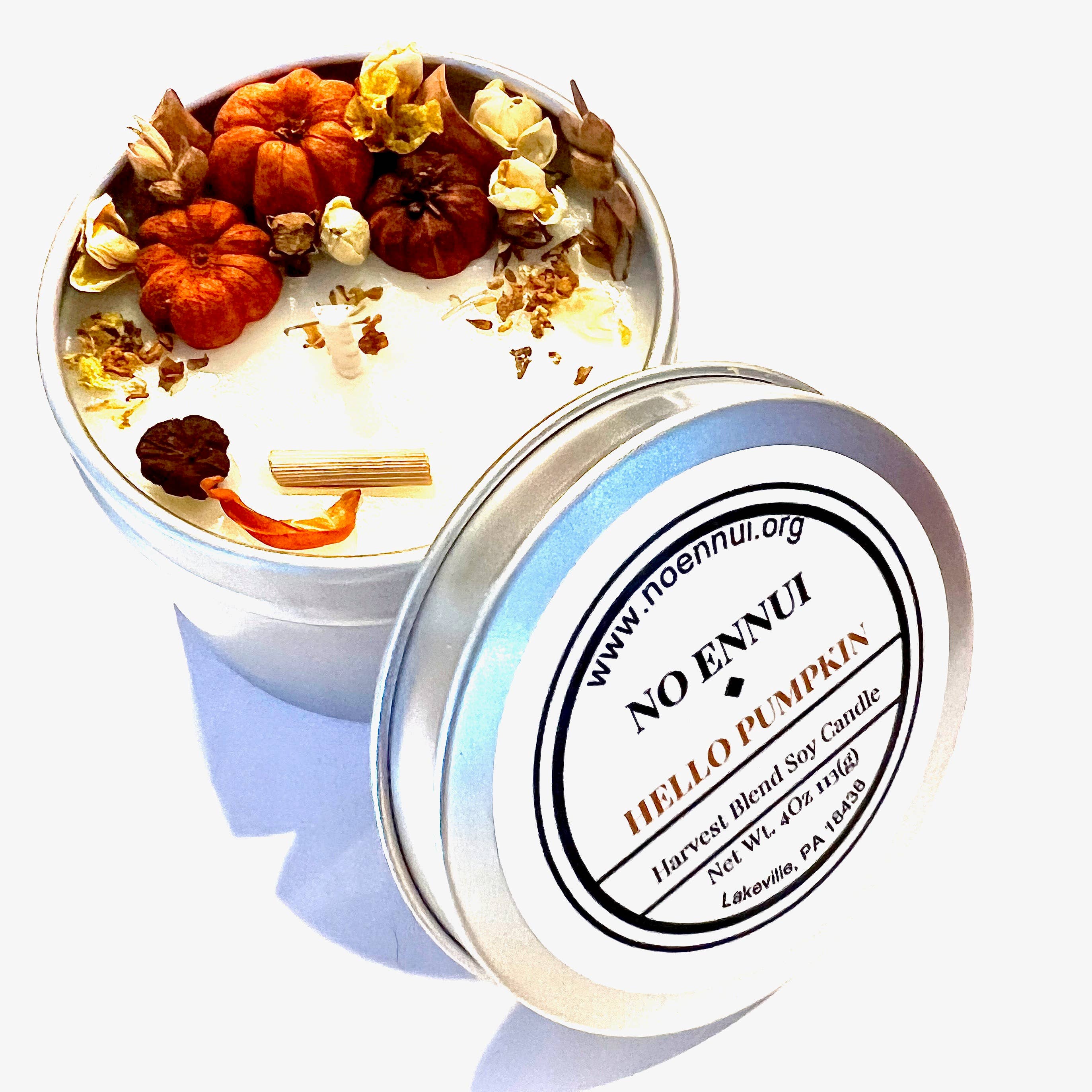 No Ennui - Wholesale Travel Candles - "Hello Pumpkin" Harvest Blend Fall/Autumn soy candle1