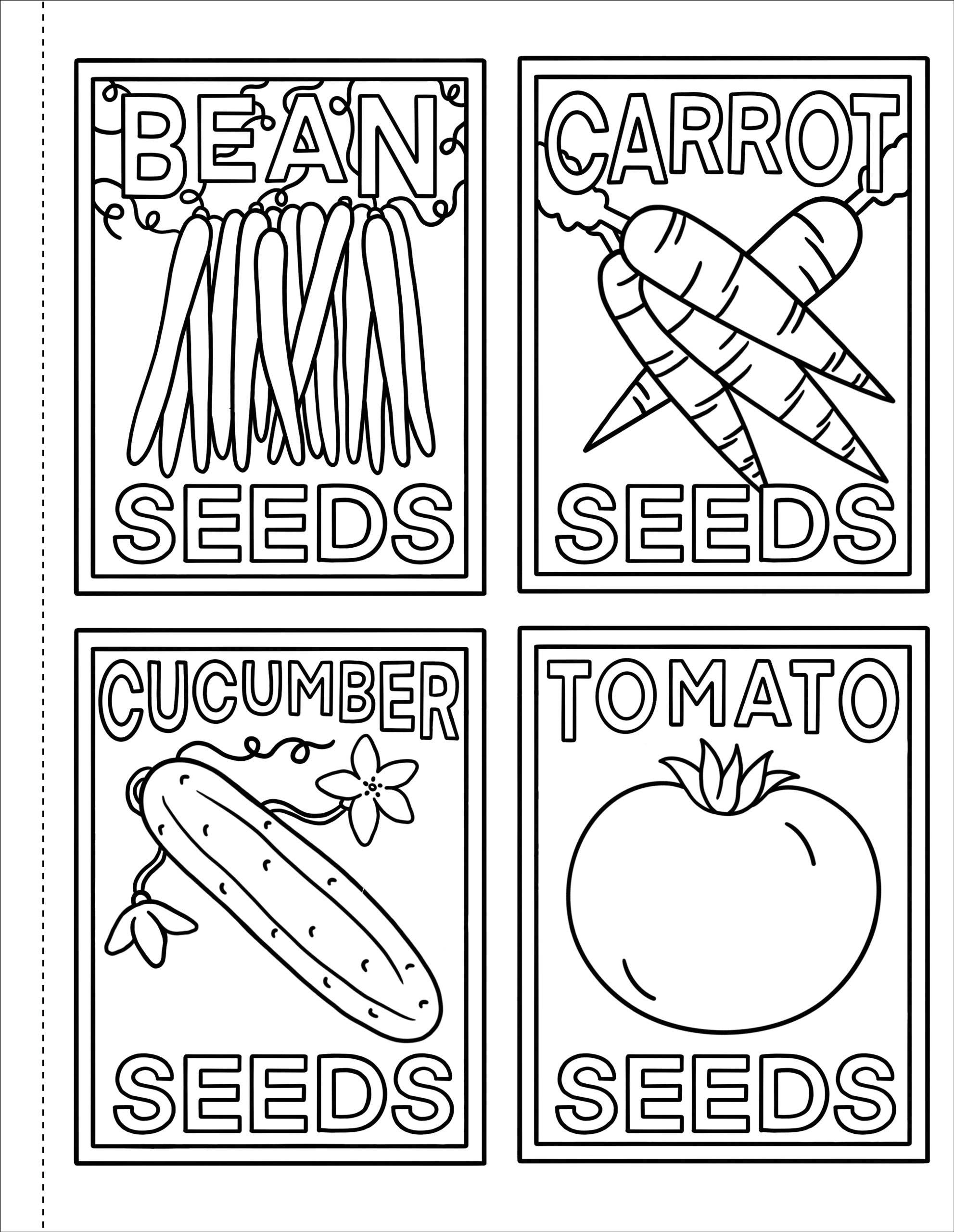 Peter Pauper Press - Wholesale Coloring & Activity Book - Kids & Baby - My First Coloring Book! On the Farm4