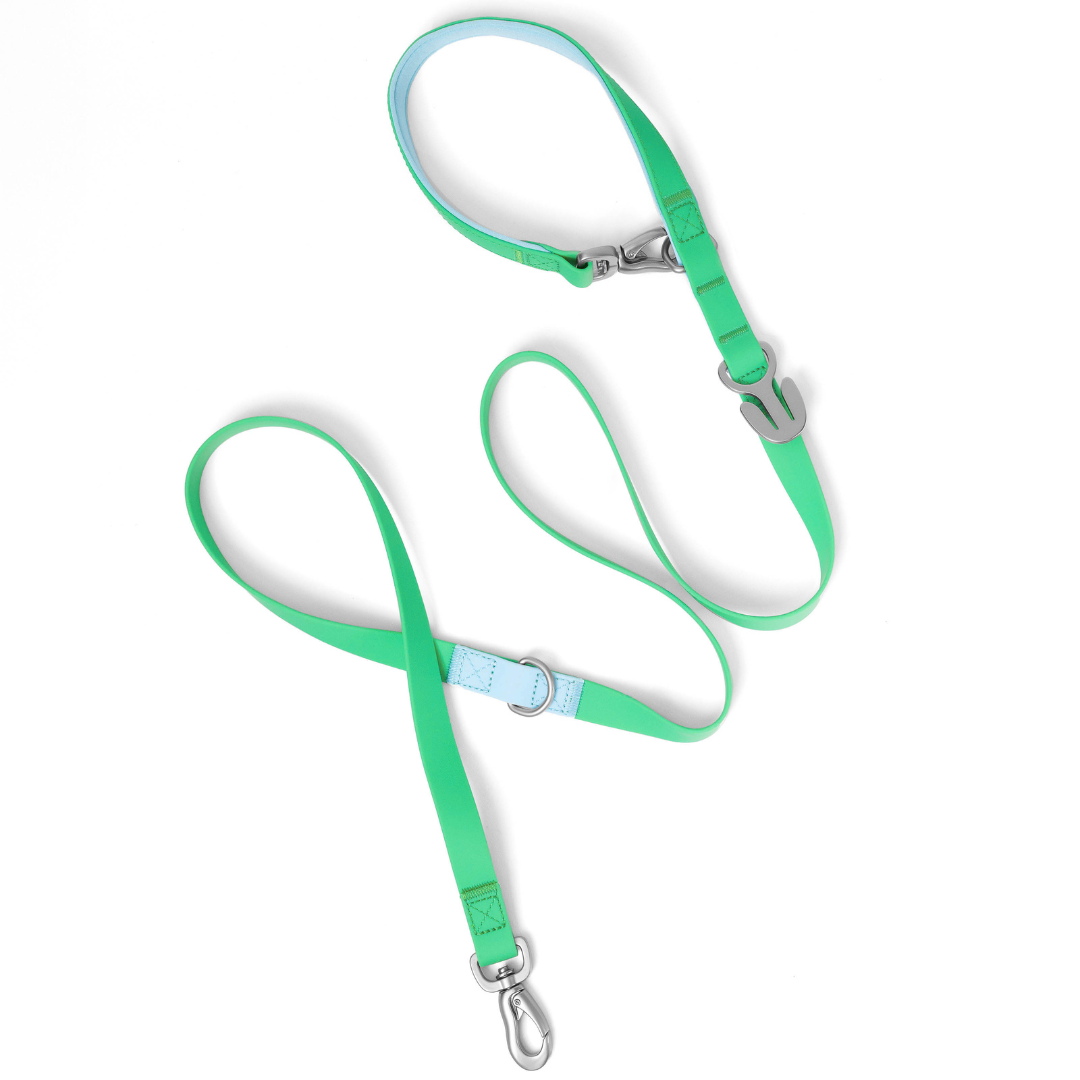 Springland Pets - Wholesale Pet Leash - Dog - Waterproof City Dog Leash, Short Dog Leash (4 Pack)5