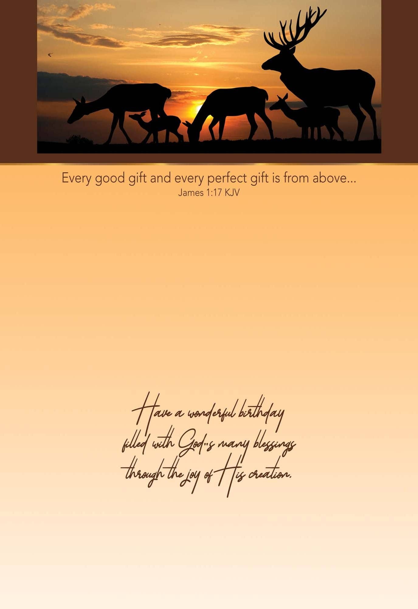 Crown Point Graphics - Wholesale Birthday Card - Celebrations -  48 Assorted Birthday Cards by Shared Blessings29