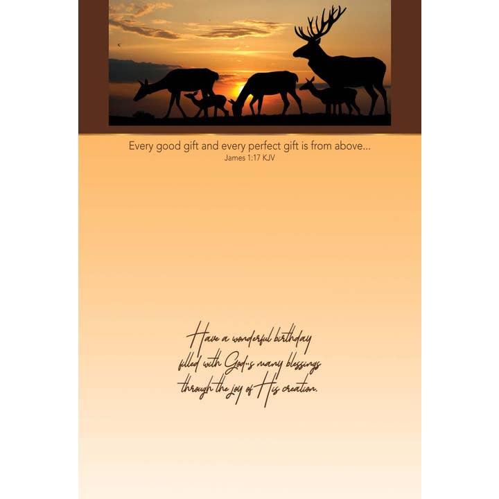 Crown Point Graphics - Wholesale Birthday Card - Celebrations - 48 Assorted Birthday Cards by Shared Blessings29