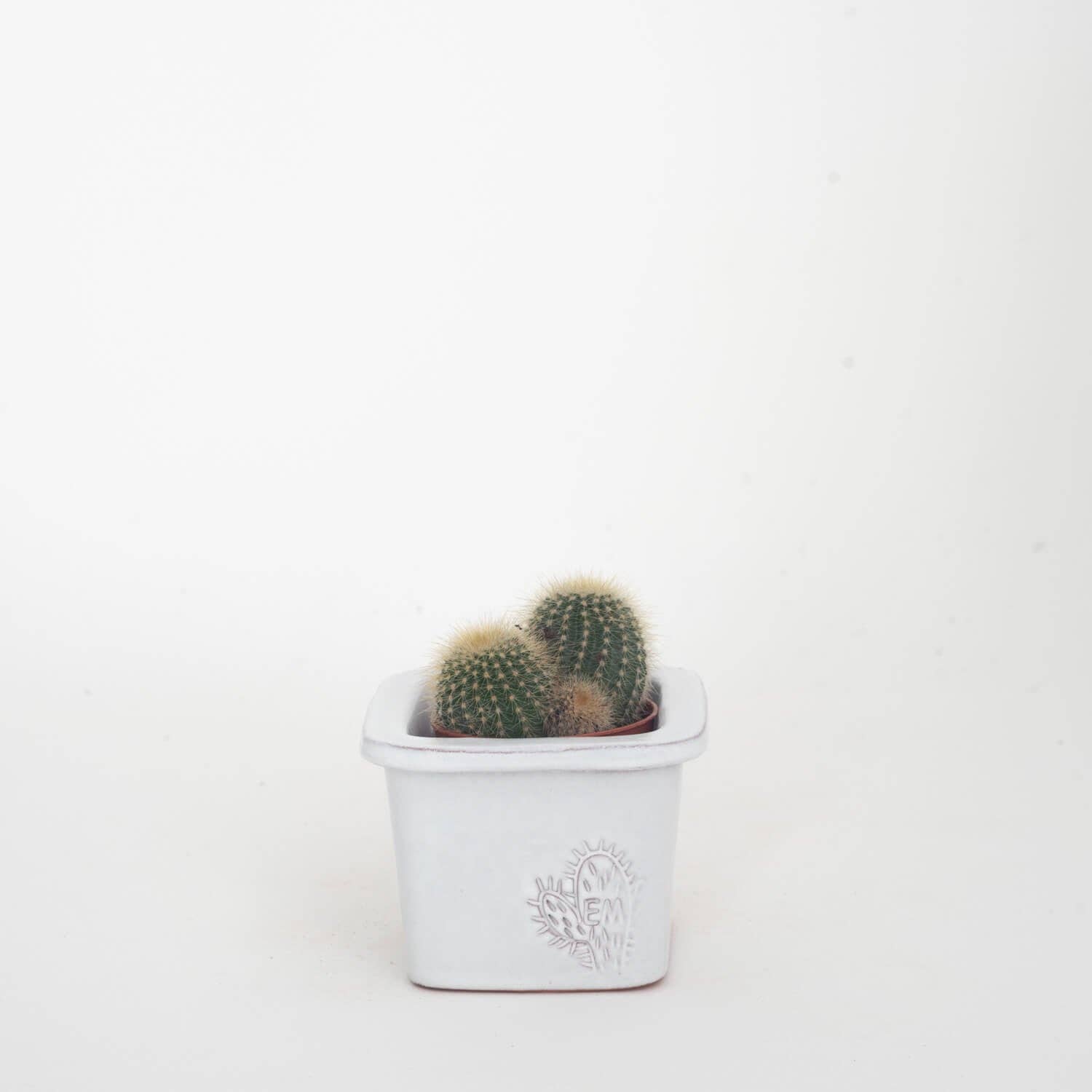 Vasos Quadrados by EM – Vaso de plantas por atacado – VASO QUADRADO MINI 6x6 - BRILHO12