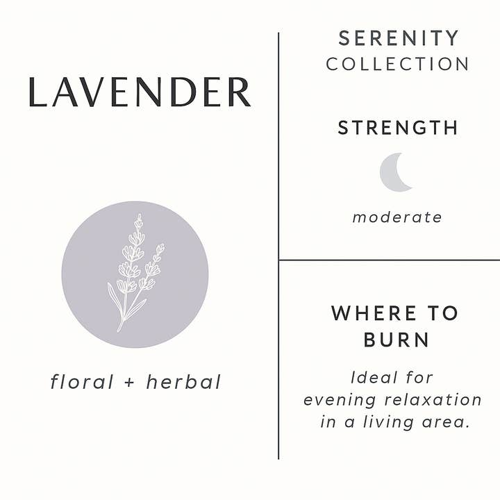 DS Luxury Candles - Vendita all'ingrosso Candela in vasetto - Candela alla Lavanda - 10 oz1