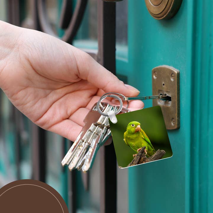 3dRose - Wholesale Keychain - Unisex - 3dRose, Costa Rica. Orange-chinned parakeet close-up., Key Chain5