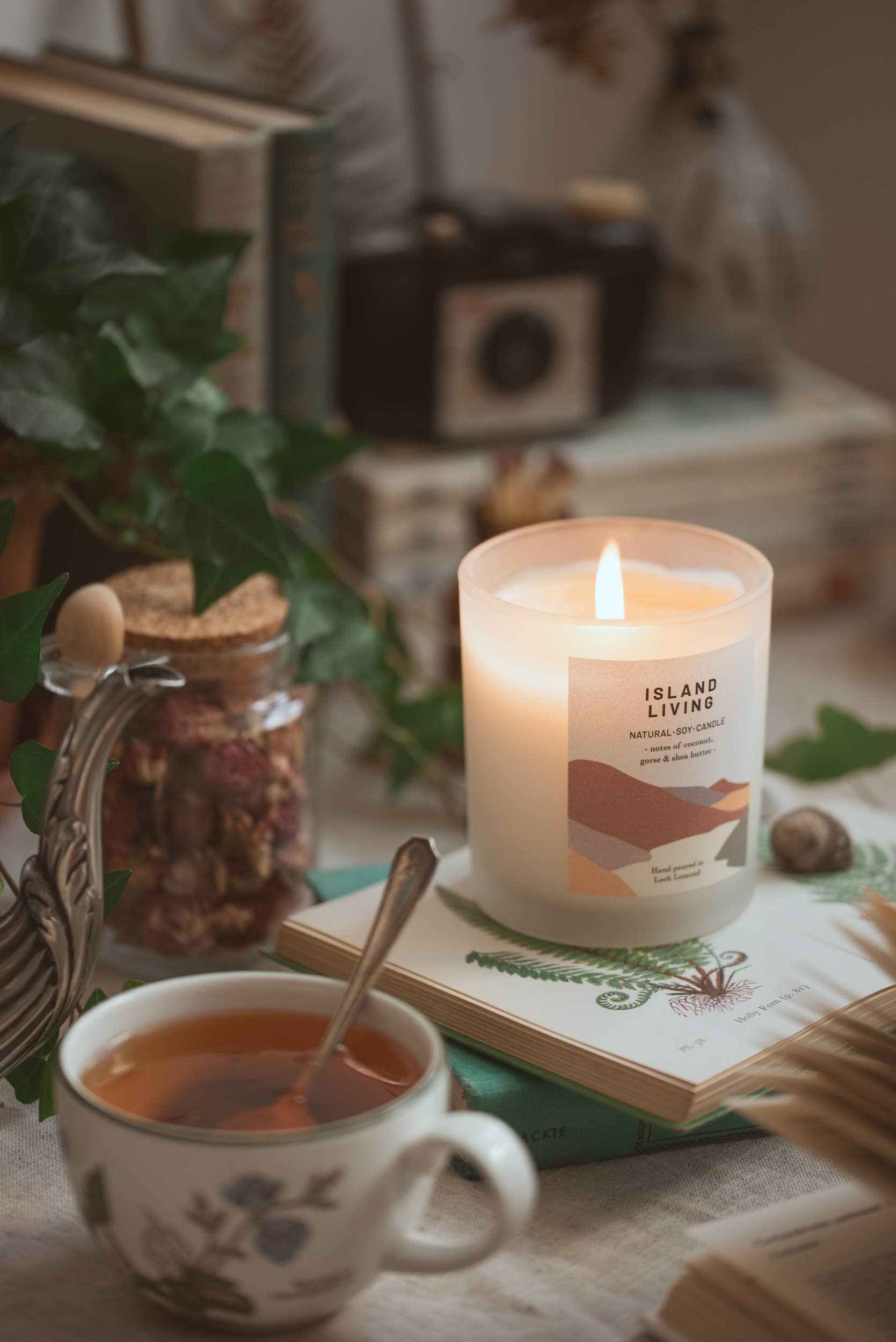 Ocoee House - Vendita all'ingrosso Candela in vasetto - Candela profumata biologica e vegana Island Living | Ocoee House2