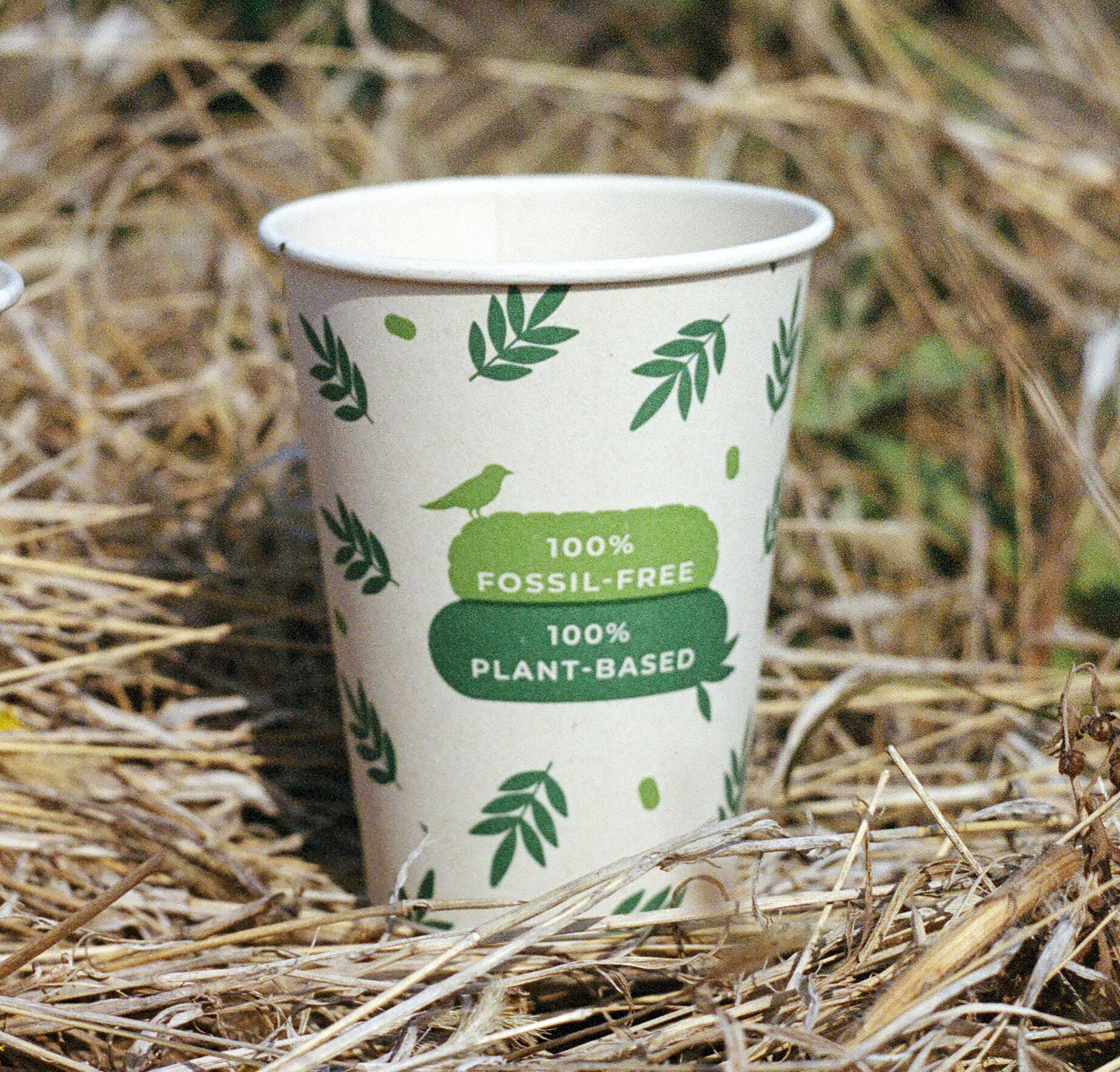 PUREGREEN GmbH – Großhandel Einwegbecher – 100 % biologisch abbaubare Kaffeebecher aus pflanzlichem Material (Packung)5