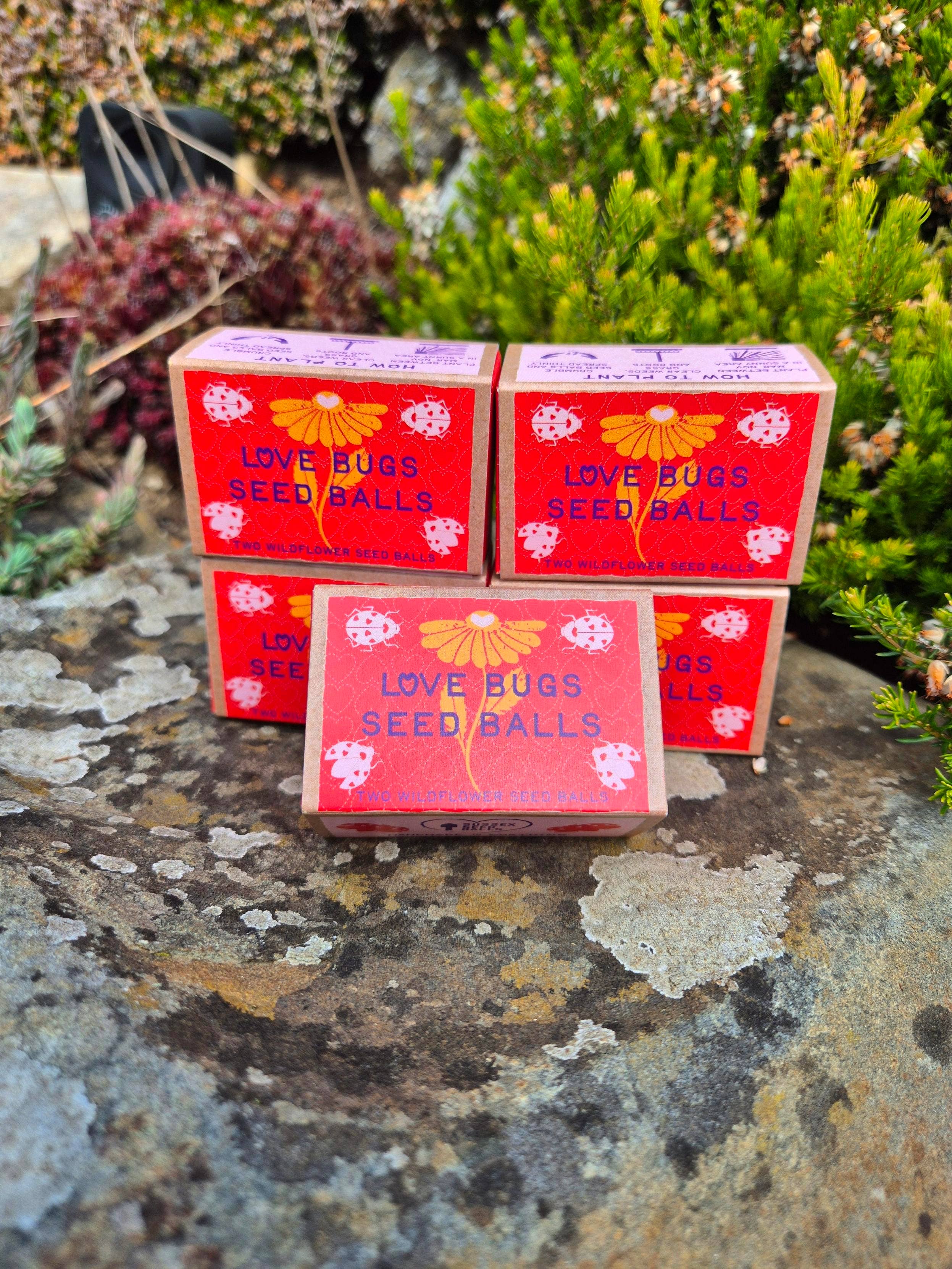 Sussex Seed Balls - Wholesale Plant seeds - Love Bugs seed ball gift box, with two wildflower seed balls